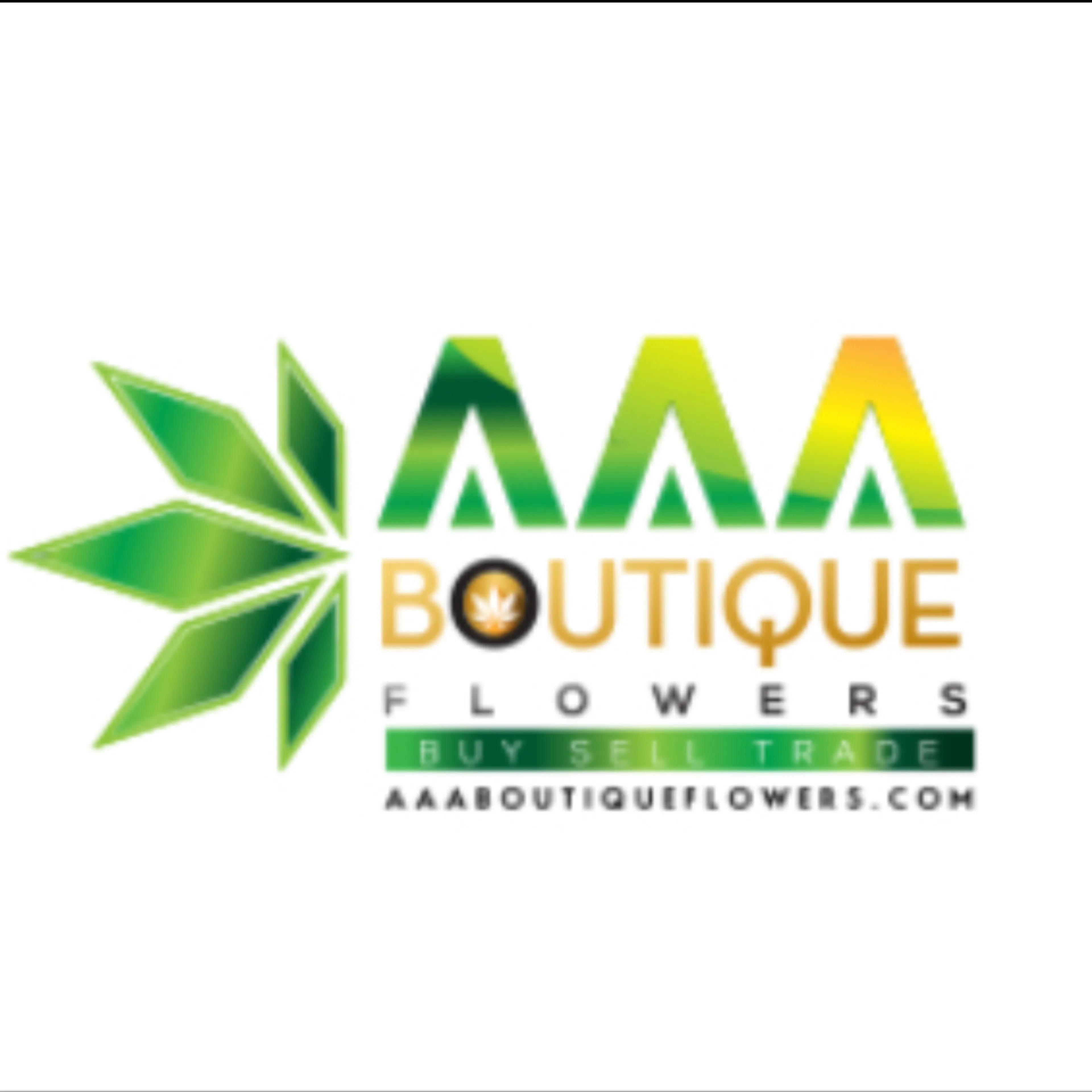 AAA BOUTIQUE FLOWERS logo