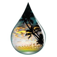 CBD For The People logo