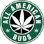 Logo for the brand All American Buds