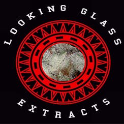 Looking Glass Extracts logo