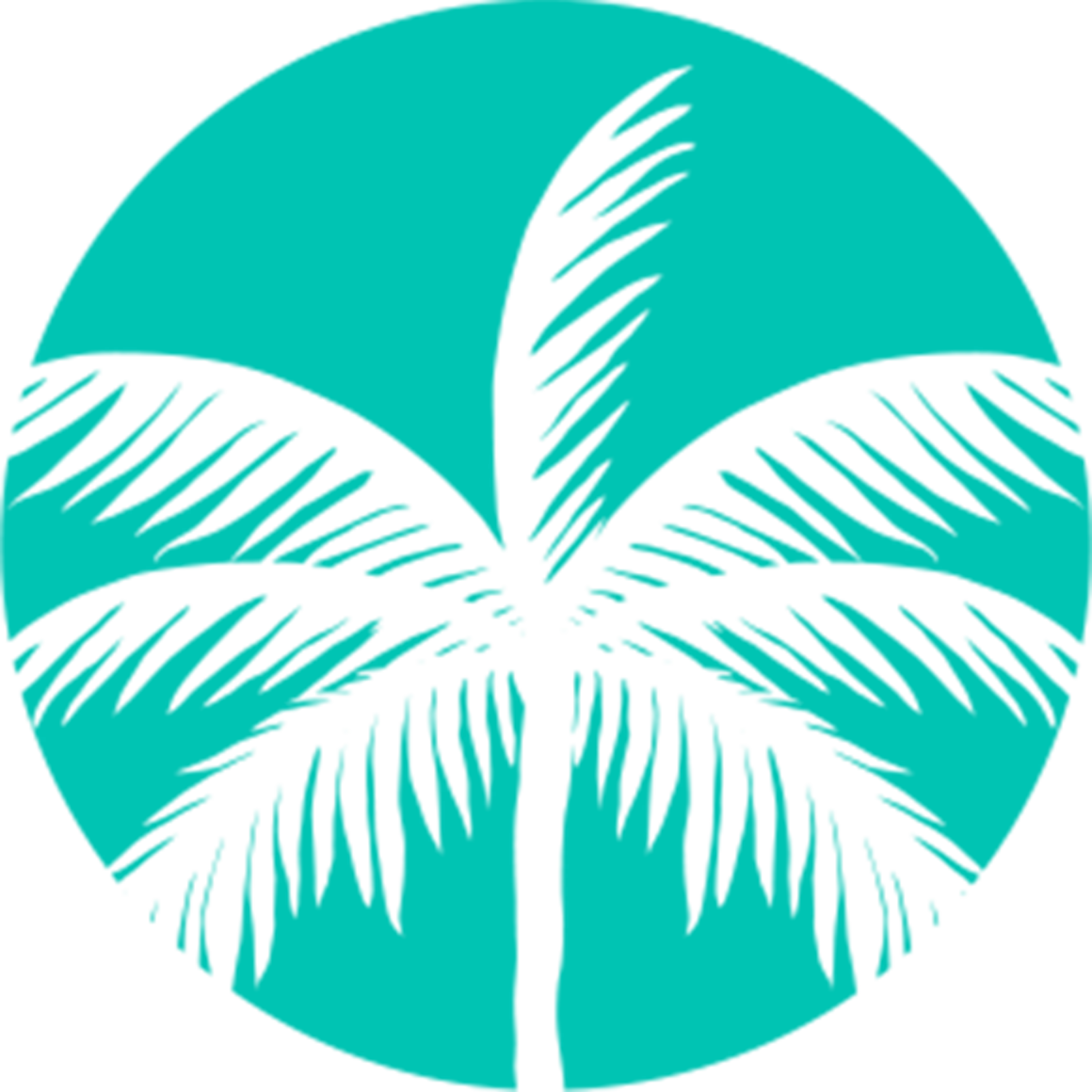 Tropizen/TPZ Ventures logo