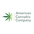 Motor Breath - 28g - Flower - American Cannabis Outlet