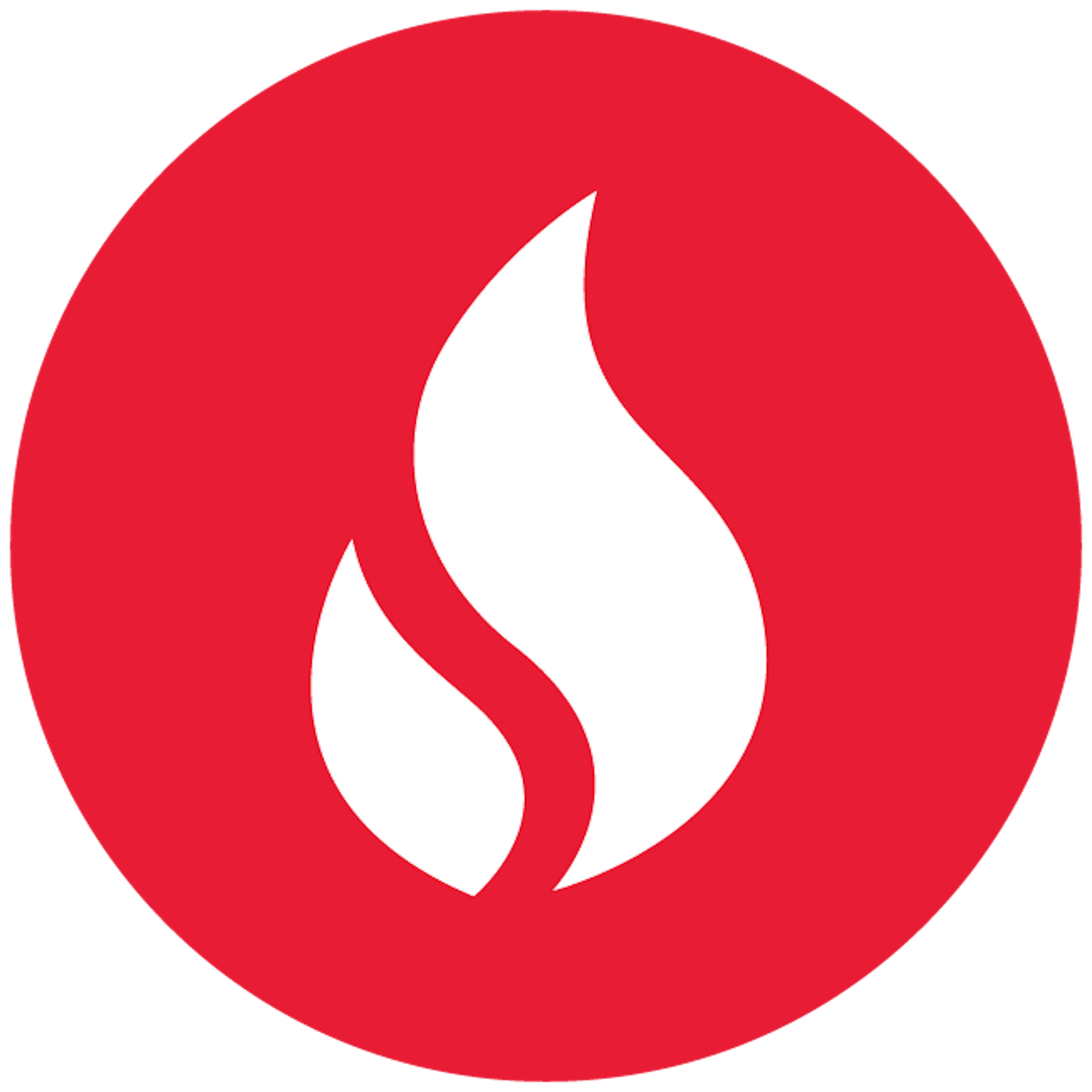 SilverStick logo