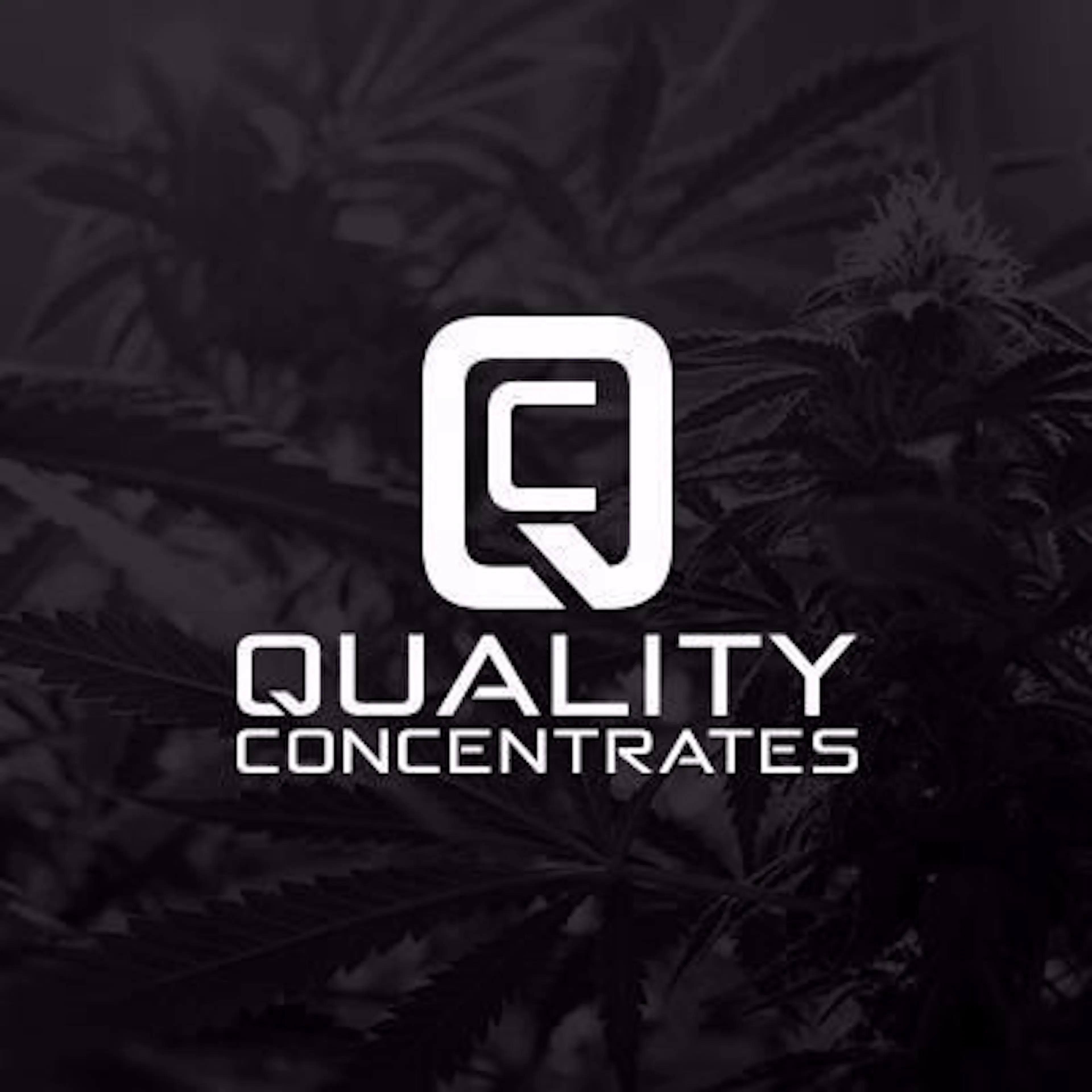Quality Concentrates logo
