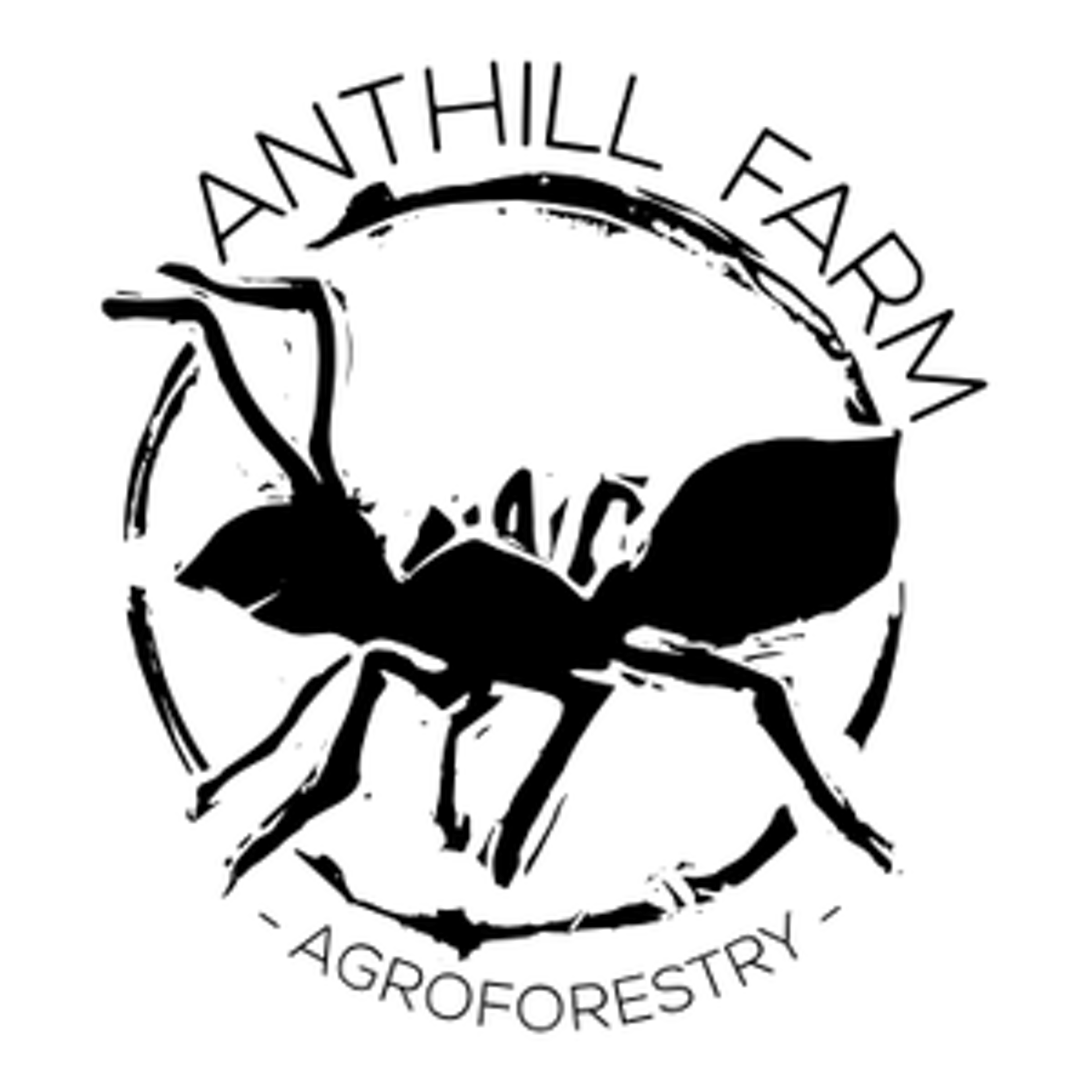 Anthill Farm Agroforestry logo