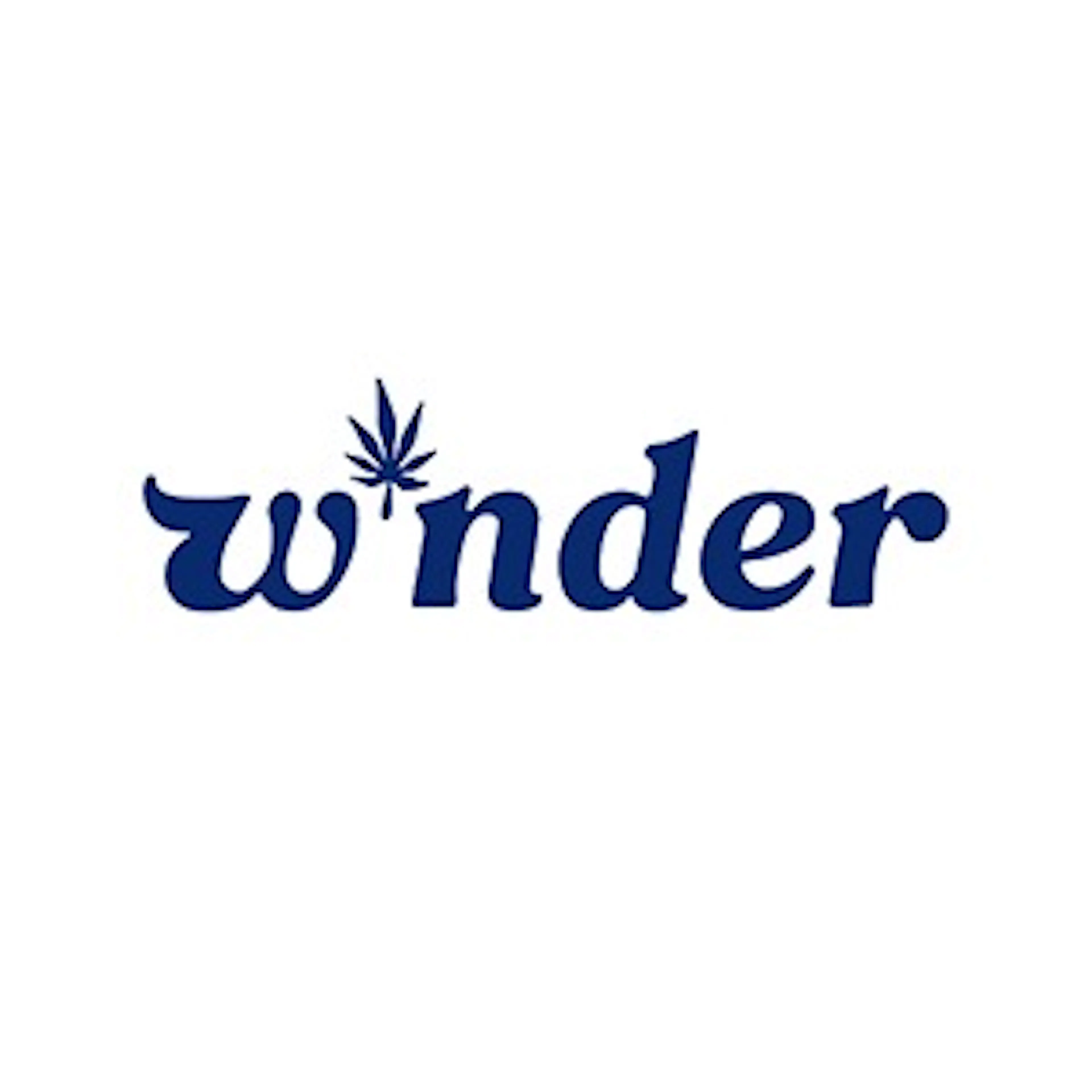 W*nder logo