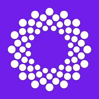 Dosecann - CBD Daily Relief Cream - 60g