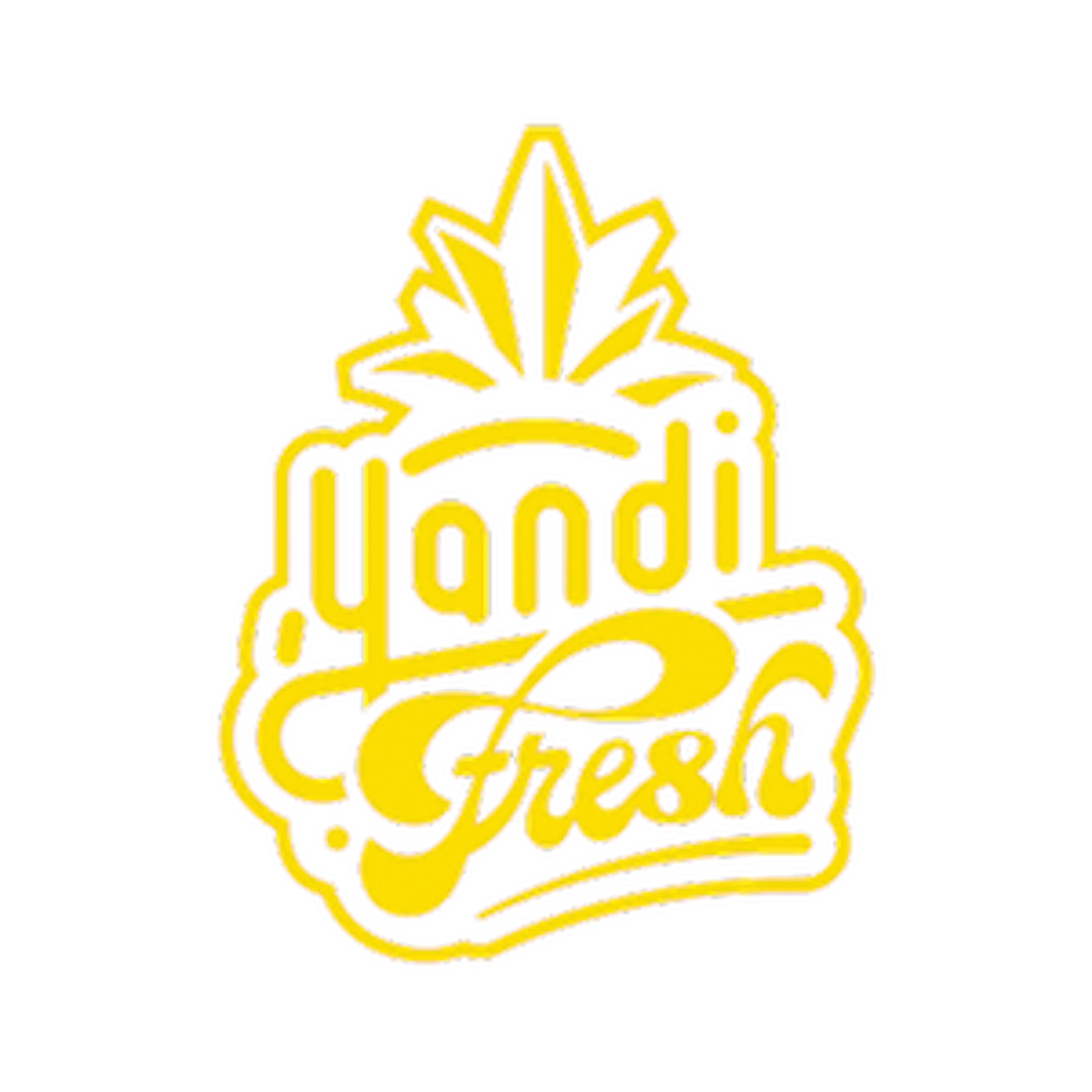 Yandi Fresh logo