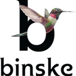 binske logo