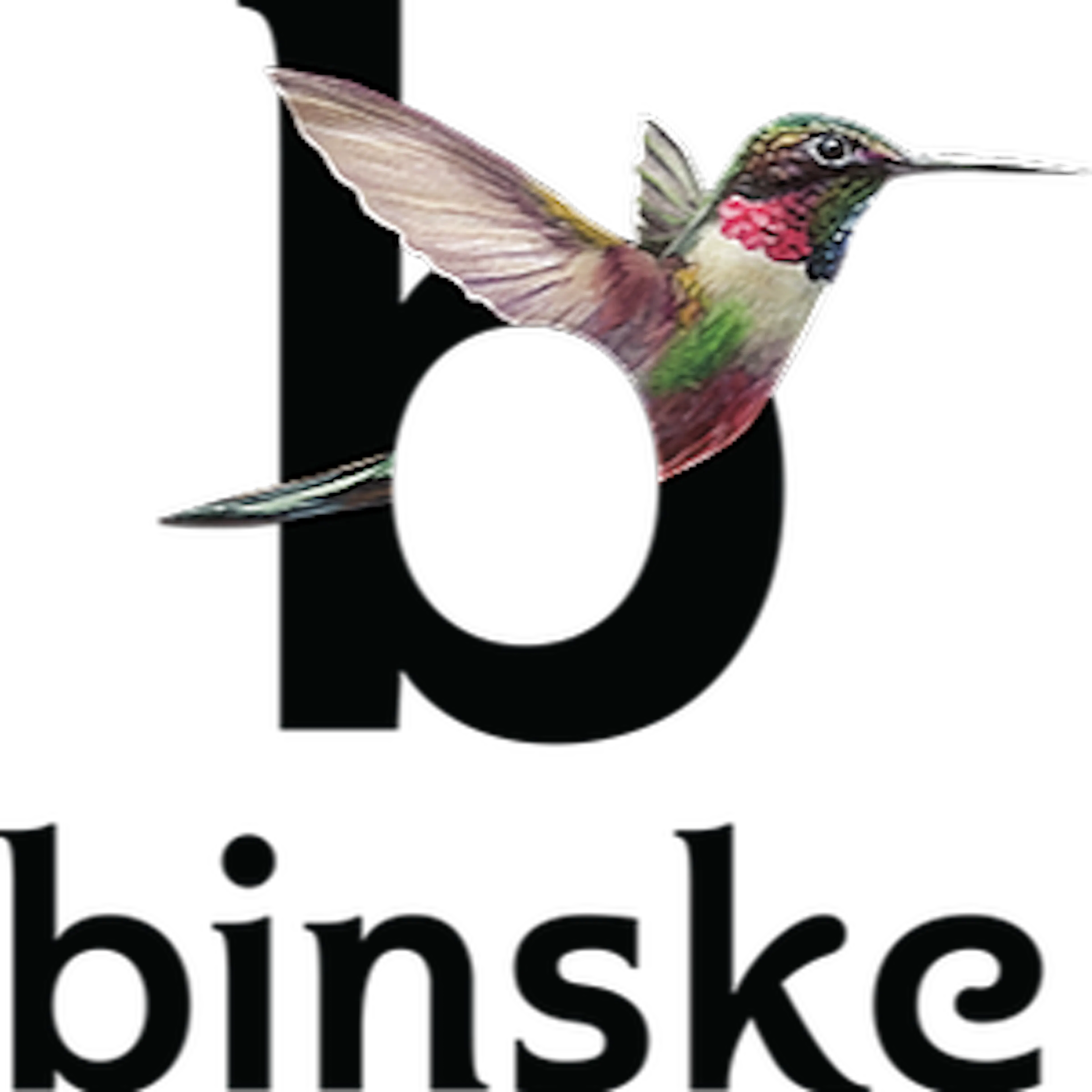 binske logo