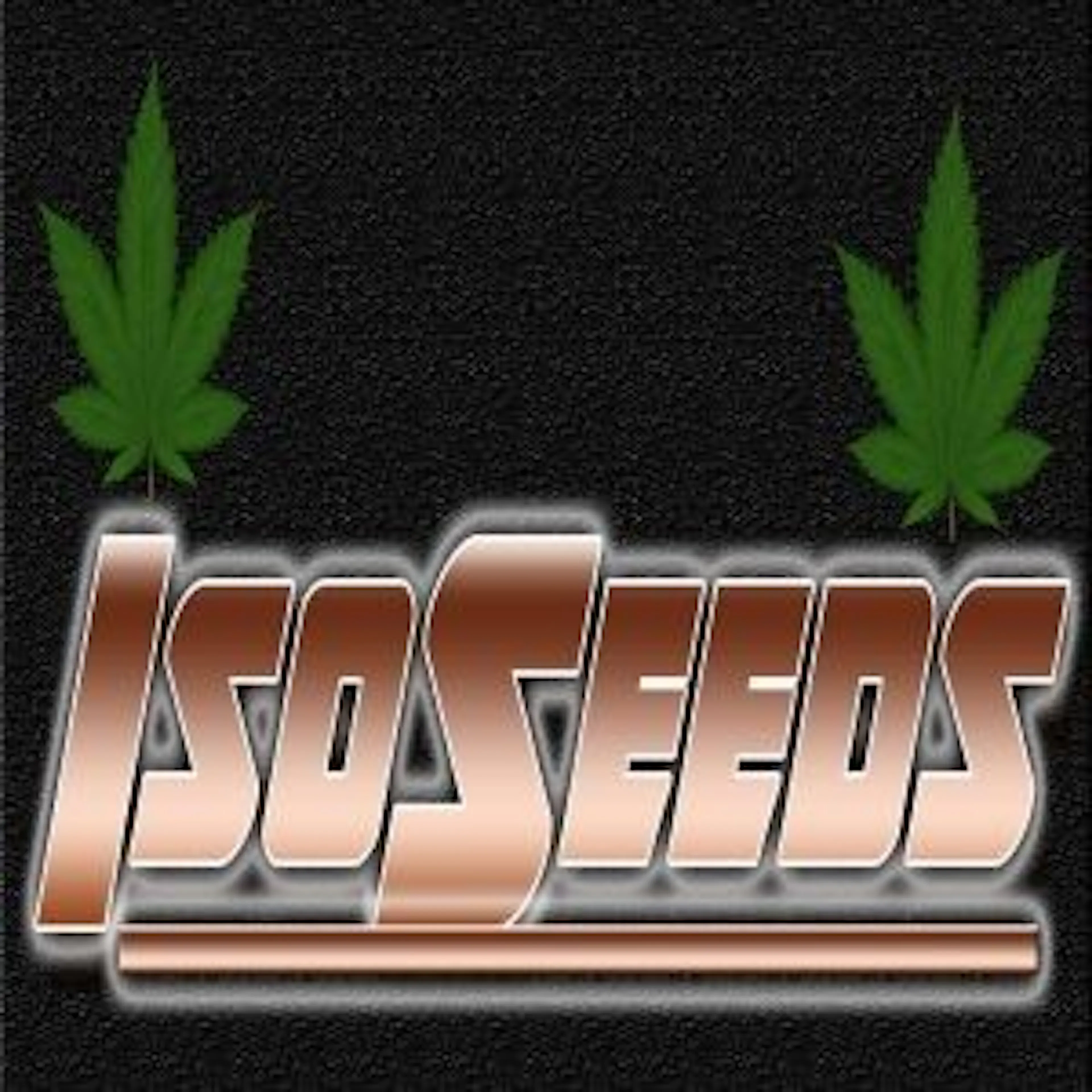 usmarijuanaseed.com A division of ISOseeds LLC logo