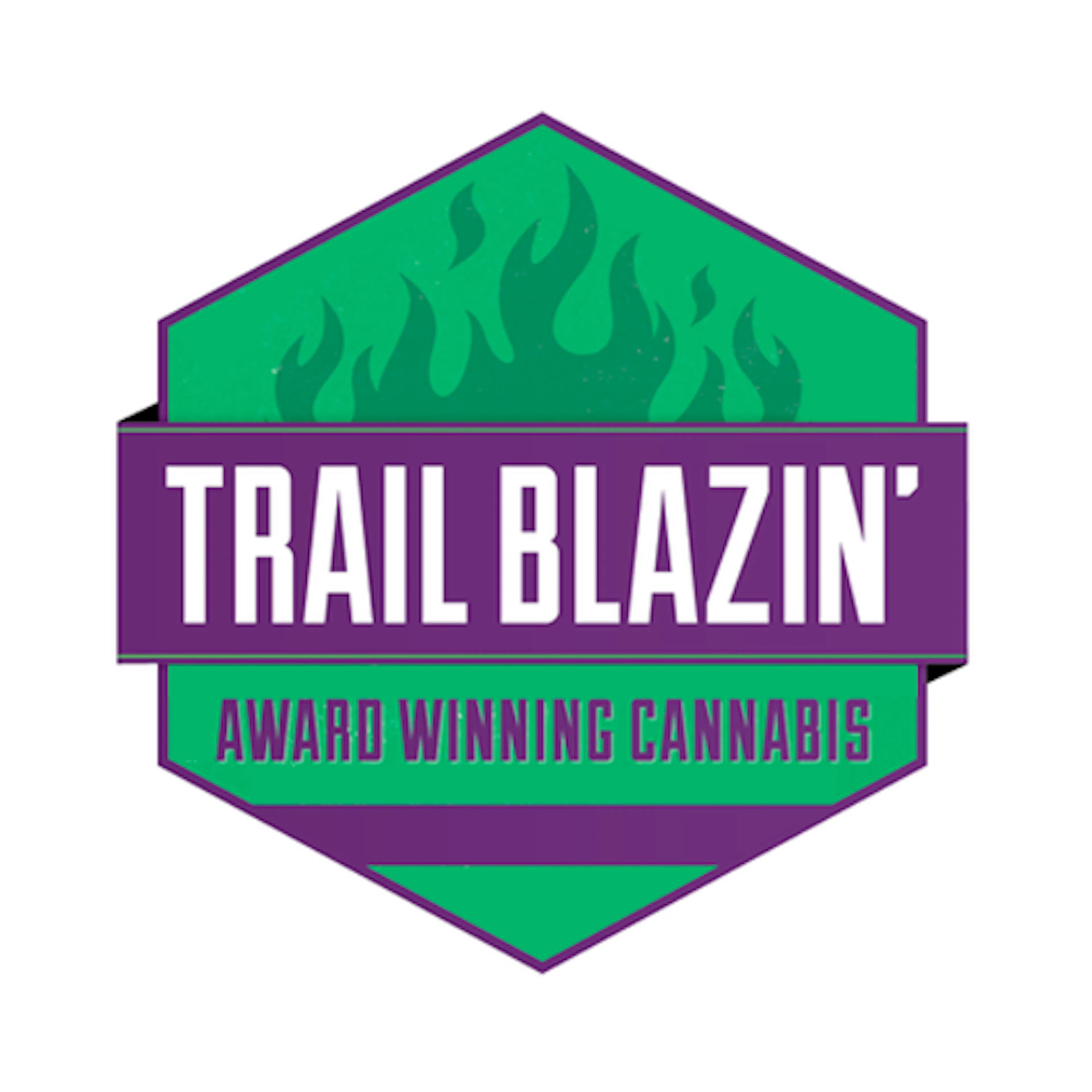 Trail Blazin' logo