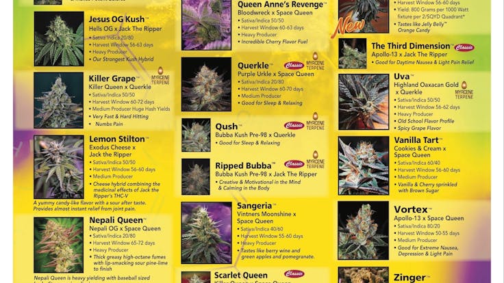 2019 Bottom Menu (Back)