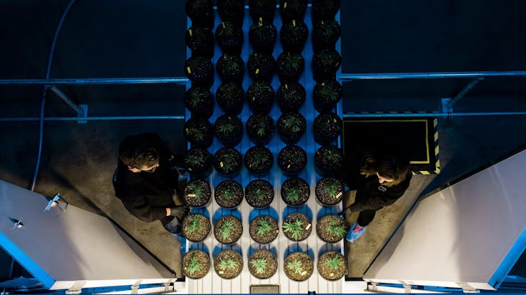 Prūf exists to cultivate those ideal conditions for cannabis exploration.