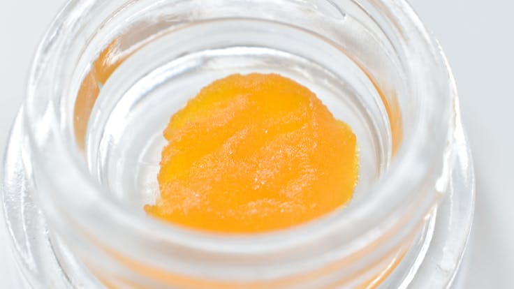 Dutch Treat Live Resin Sugar
