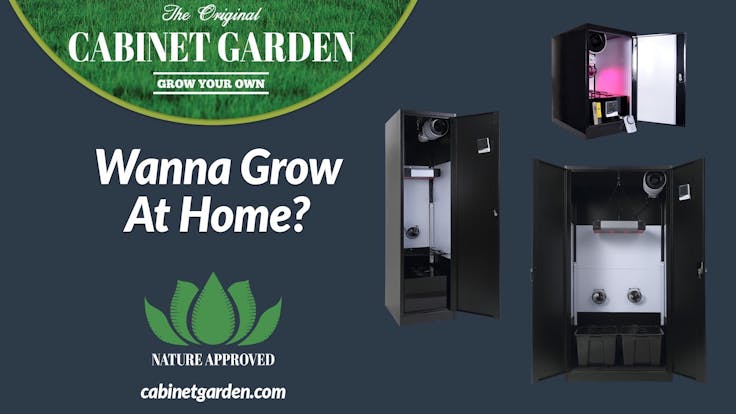 Three sizes to choose from. Medium & Large are amazing for full cannabis plants & Small for clones.