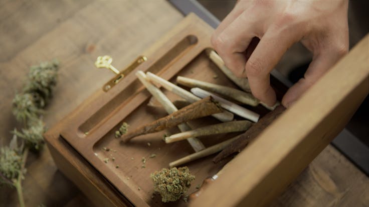 Which one would you choose?