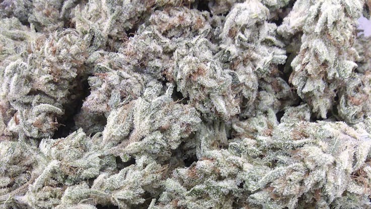 The Razmaninan Devil