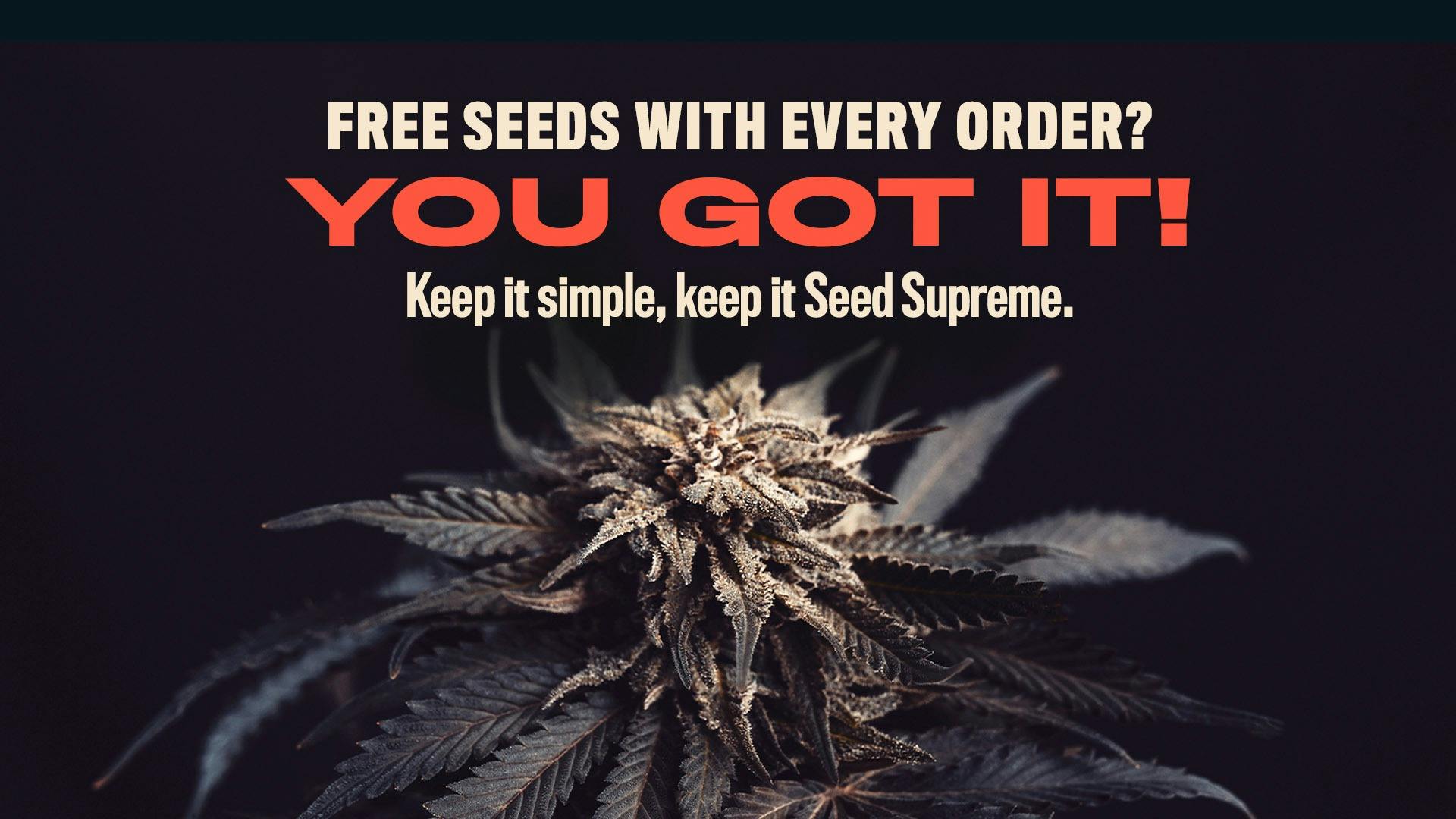 Seed Supreme: Keep it simple, keep it Seed Supreme. | Leafly