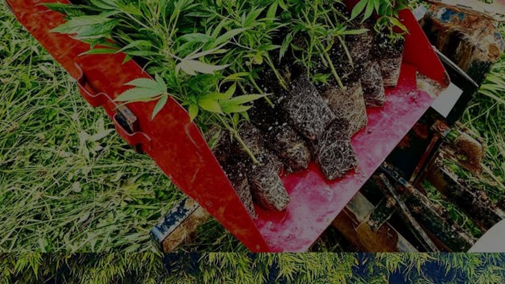 RRHC controls our product from seed to bottle.