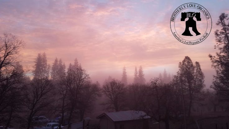 Our unique microclimate gives our plants a healthy environment to grow up and flourish in