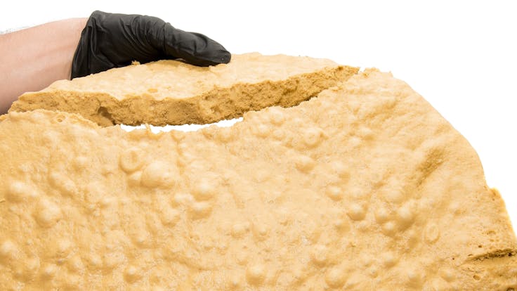 Lunchbox Alchemy Tangie PHO Extract