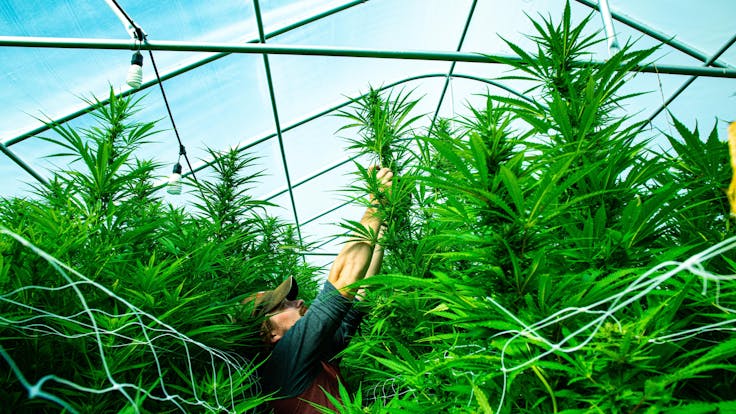 Plenty of room to play and work. we put play first because it’s important to enjoy what you’re doing