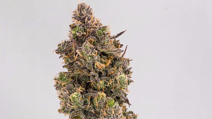 Bluniverse ( Blue Magoo x Ms.Universe #10)