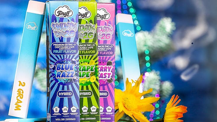 Fantastix Fruit Flavored THC-O 2 Gram Disposable Vape | Puff Xtrax