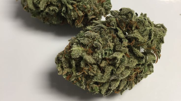 Citrique ~ Citrique leaves you uplifted and refreshed with abundant floral aroma and citrus flavor.