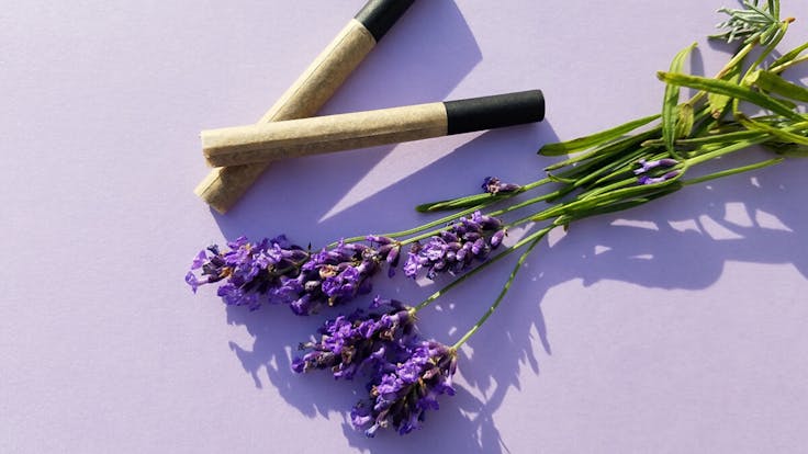 Earthy & Floral. 100mg High Potency Organic Hemp and Organic Lavender Herbs.