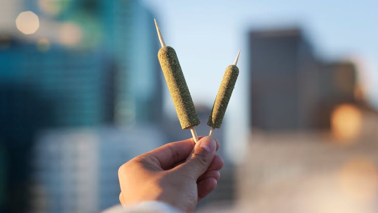 Indulge in a cannagar with a CannaMold made by Purple Rose Supply