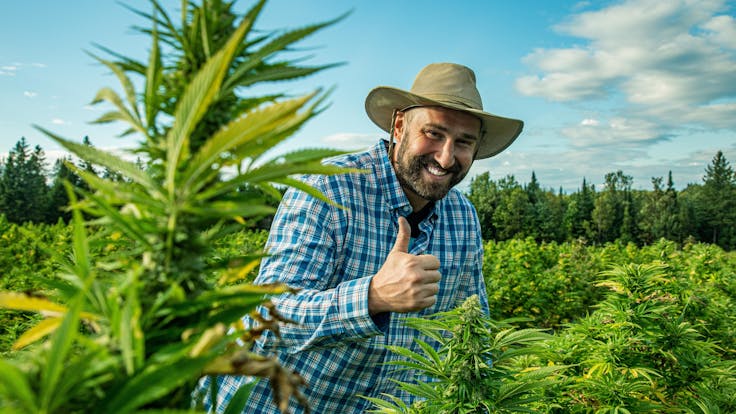 Howdy, neighbor. My name’s Morgan Laurent. I’m the farmer here at Organic CBD