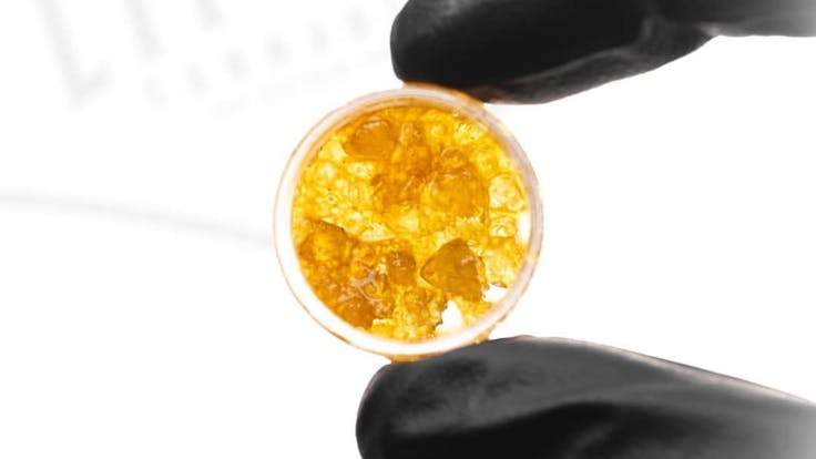 Golden Lemons Diamond Sauce 🍋