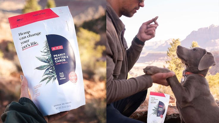 Hemp can change your pets life.