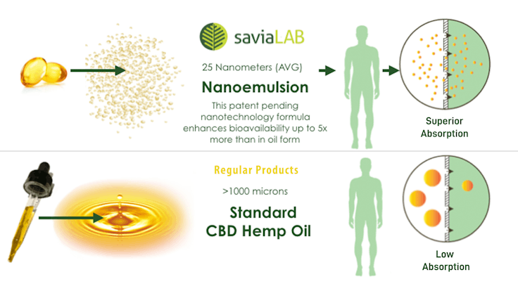 Results focused, we understand that CBD are molecules, not miracles.