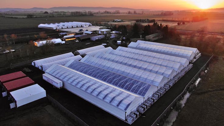 Oregon CBD's continually expanding production greenhouses in Western Oregon