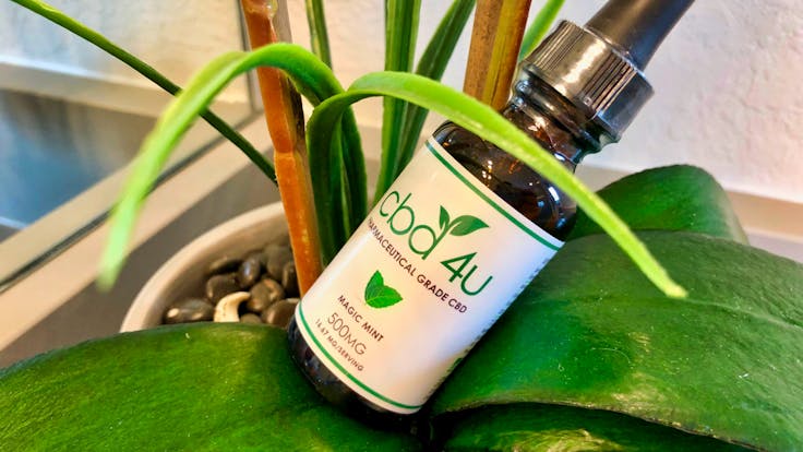 CBD 4U 500mg Magic Mint Tincture