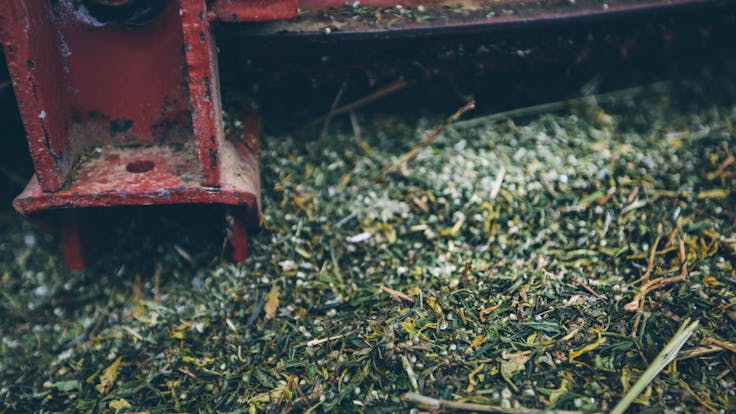 Produced using locally grown Montana hemp.