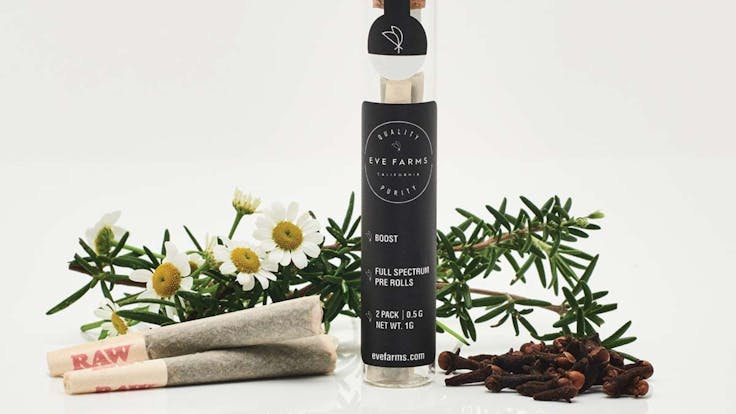 Meet Boost, crafted to lift your mood up. So get those creative juices going or get physical.