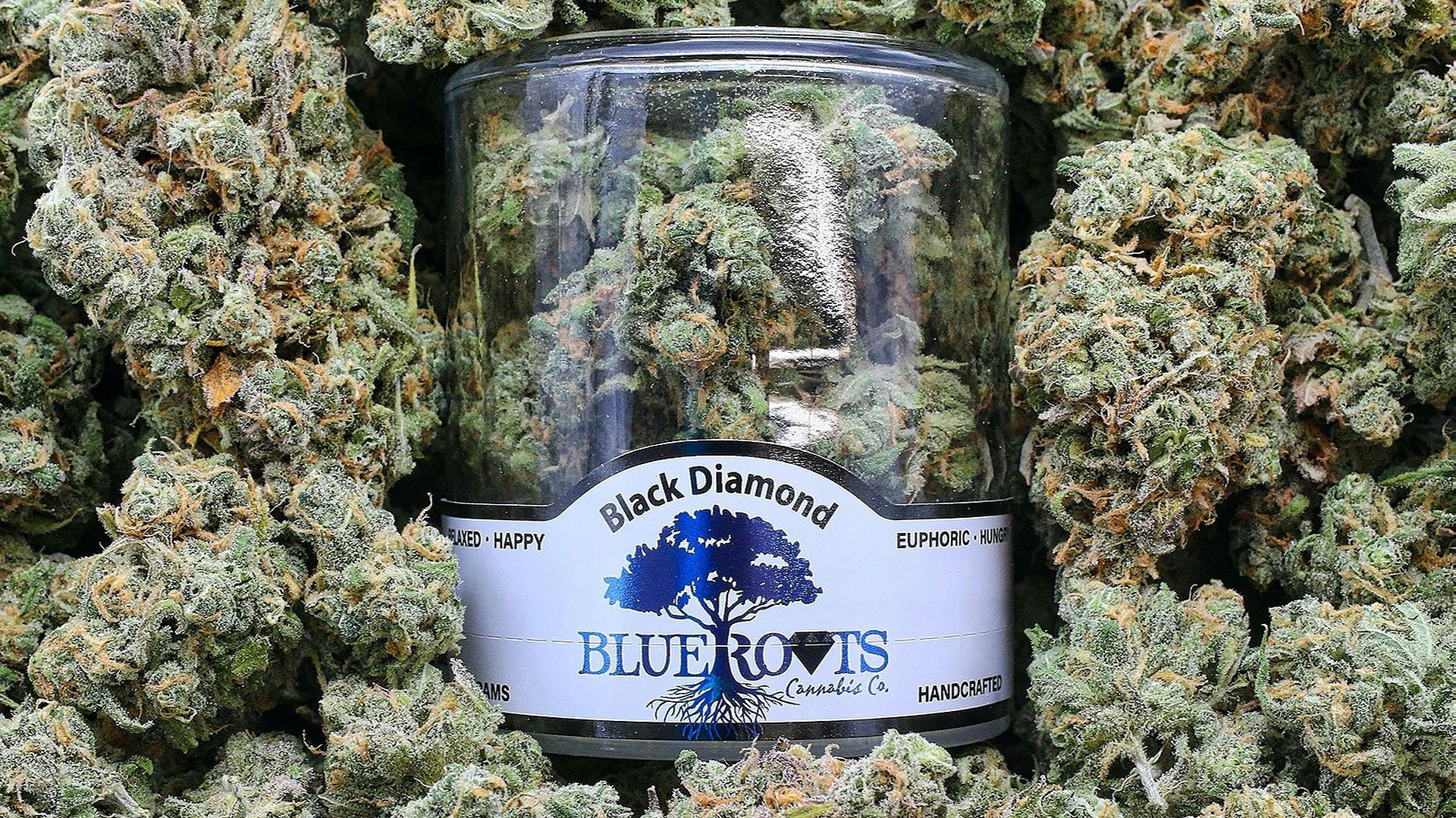 Blue Roots Cannabis Co. Stay true to your roots. Leafly
