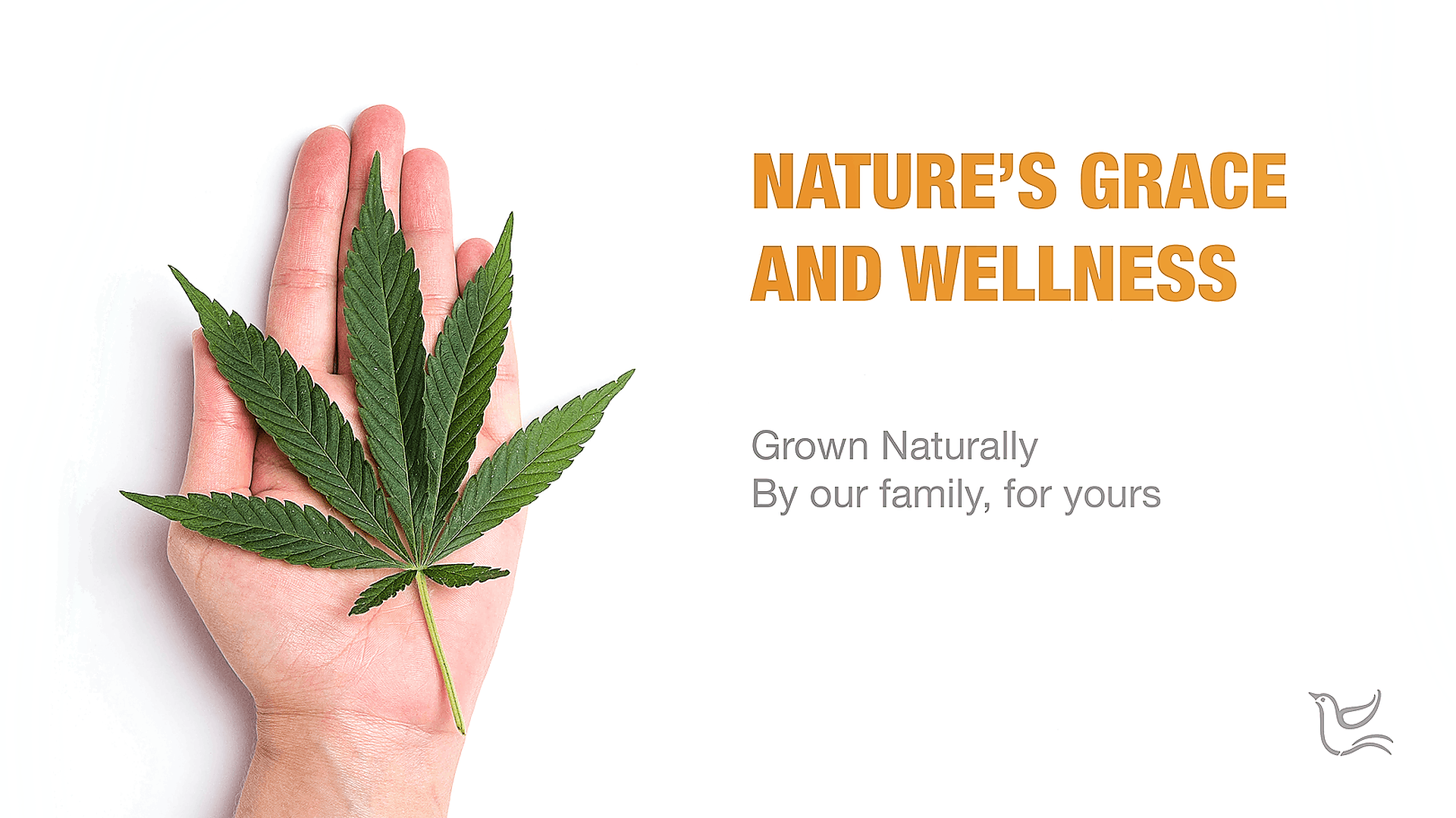 Nature's Grace and Wellness Family Owned and Operated Leafly