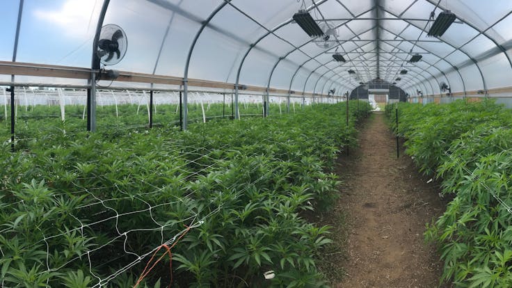 We can't complain about this office