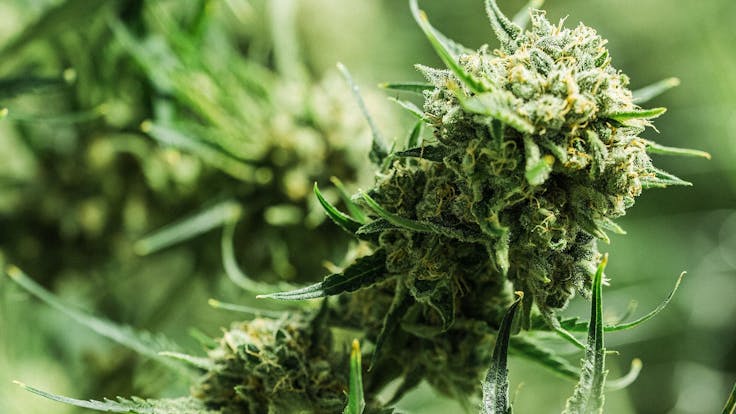 Small batches to ensure care and attention.