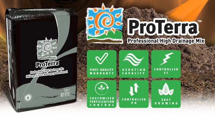 Our special blend of Canadian peat moss, the perfect cannabis growing medium