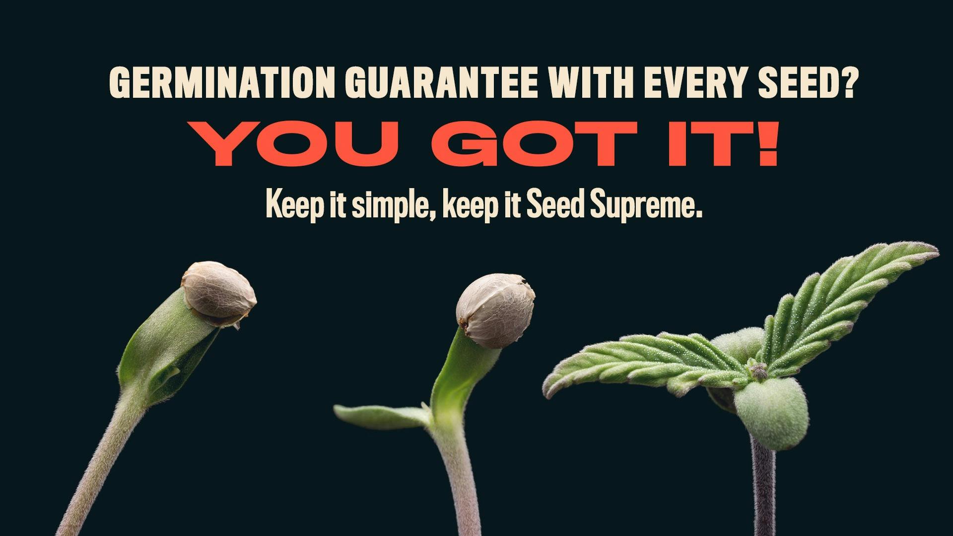 Seed Supreme Keep it simple, keep it Seed Supreme. Leafly