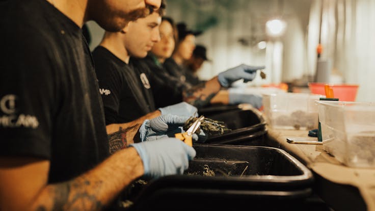 The right crew for the job.