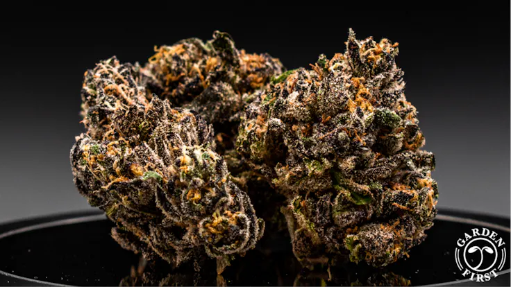 Gelato #33
