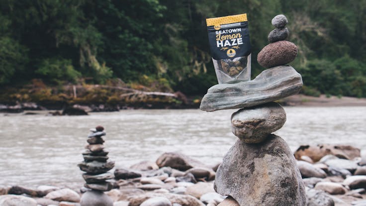 Try one of the best selling terpene rich sativa dominant strains in WA state, Seatown Lemon Haze.