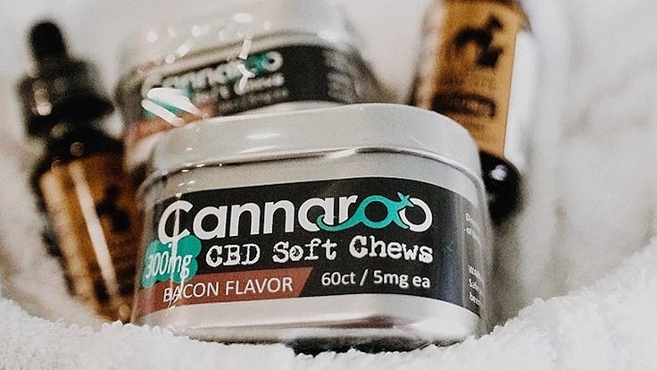 CBD for Dogs | CBD for Pets